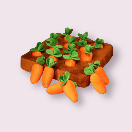 Mini Carrots Chew Toy