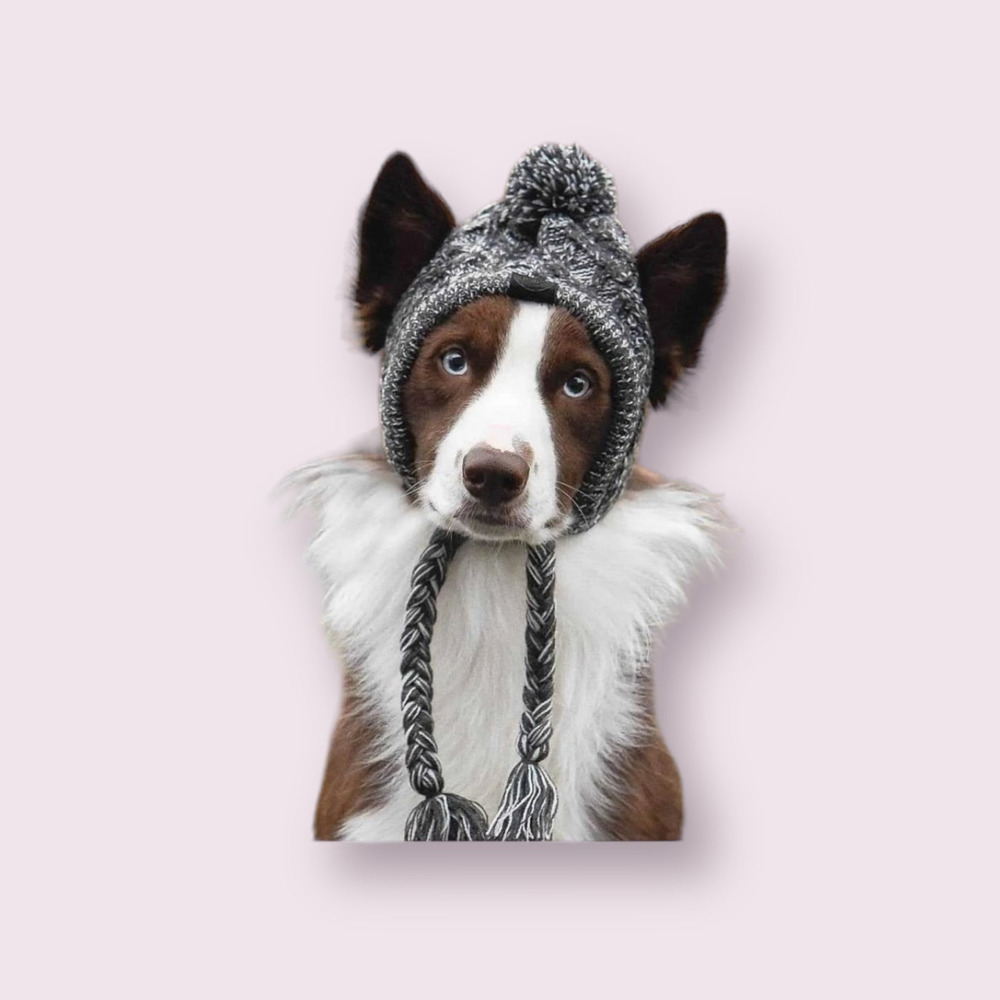 Winter Pet Hat