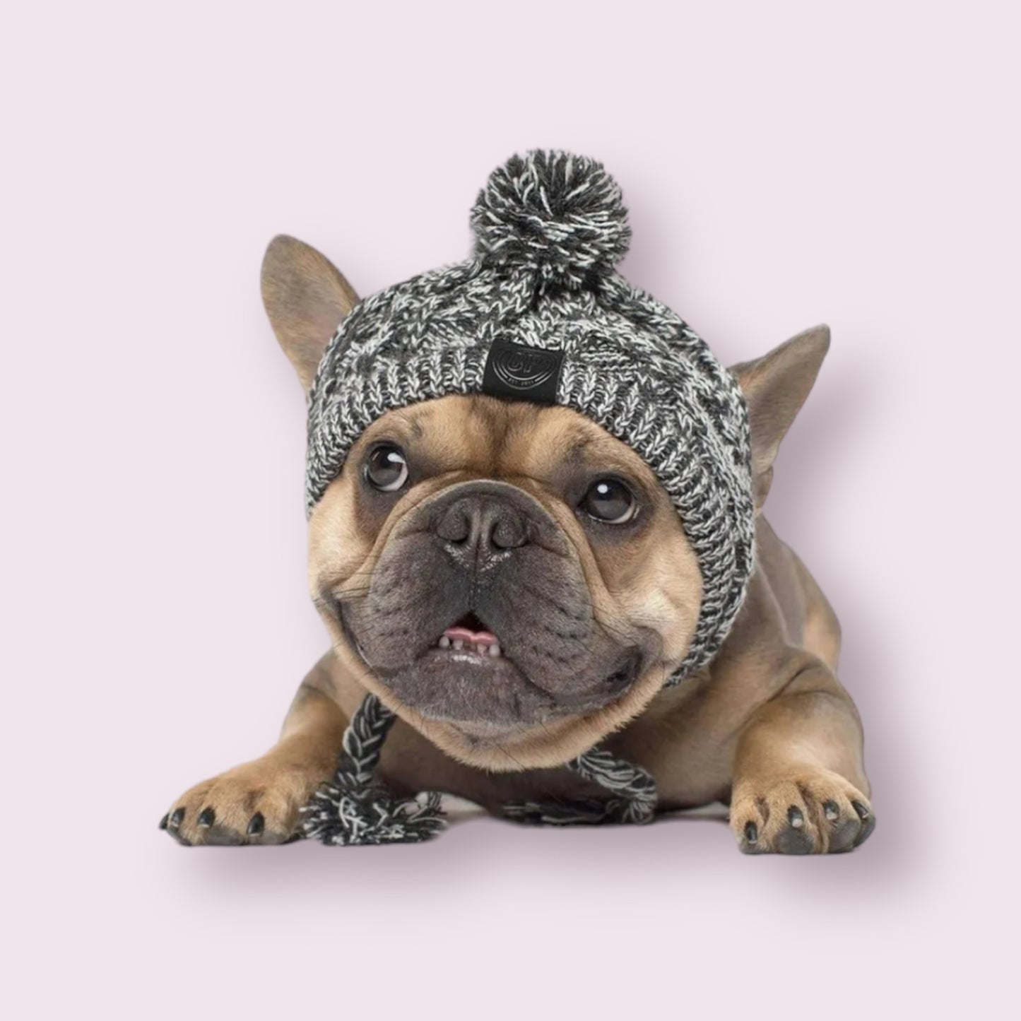 Winter Pet Hat