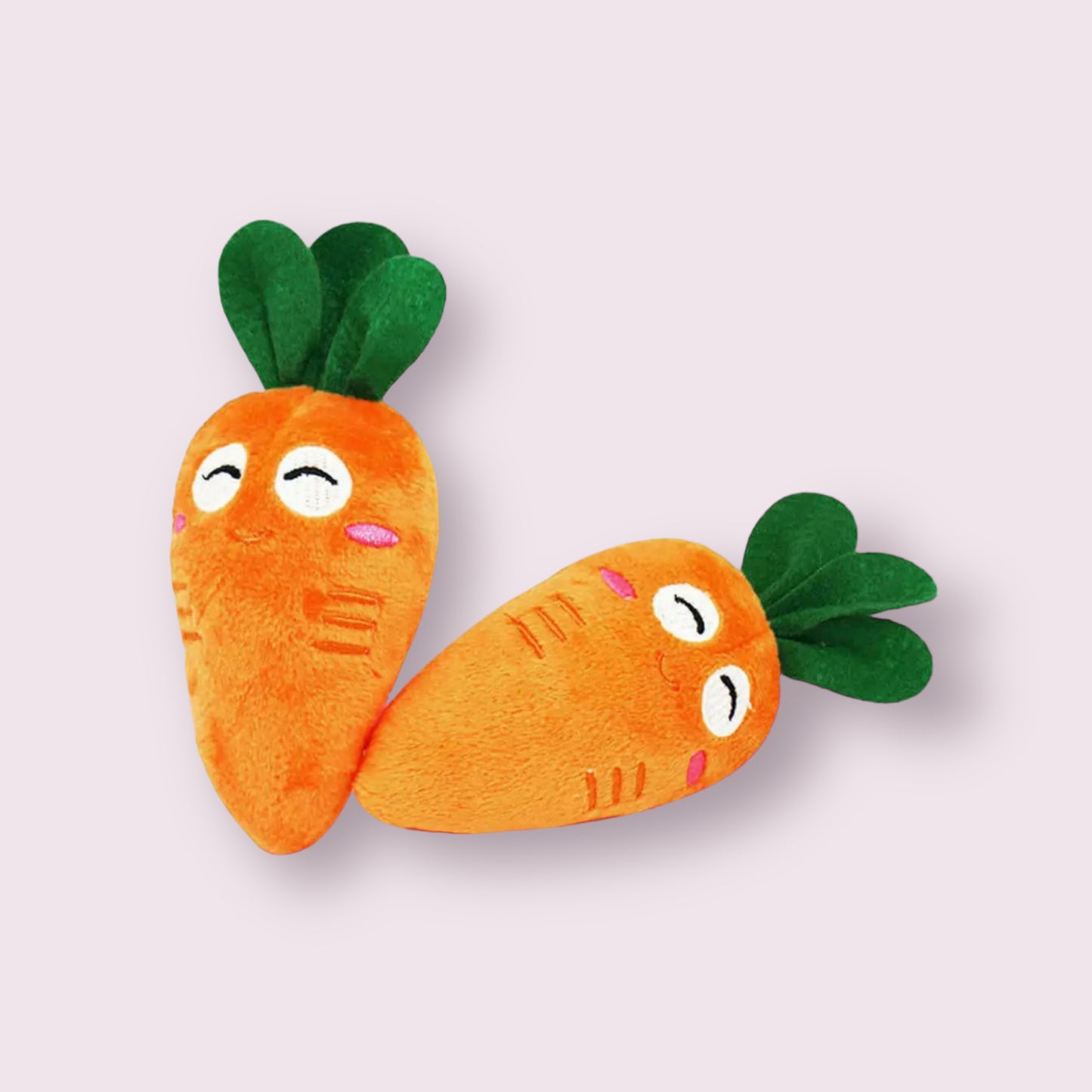 Carrot Pet Toy