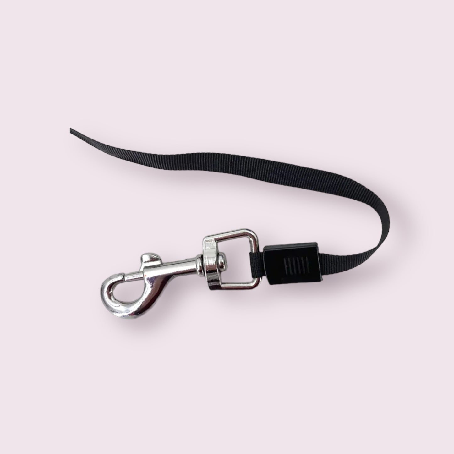 Retractable Leash