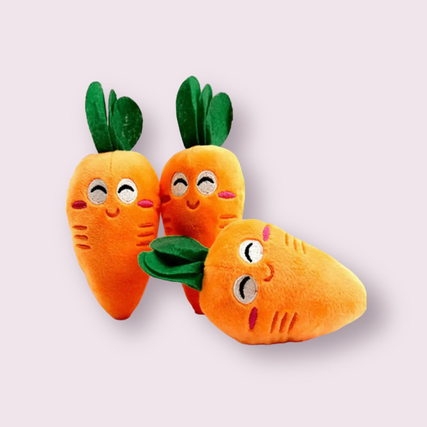 Carrot Pet Toy