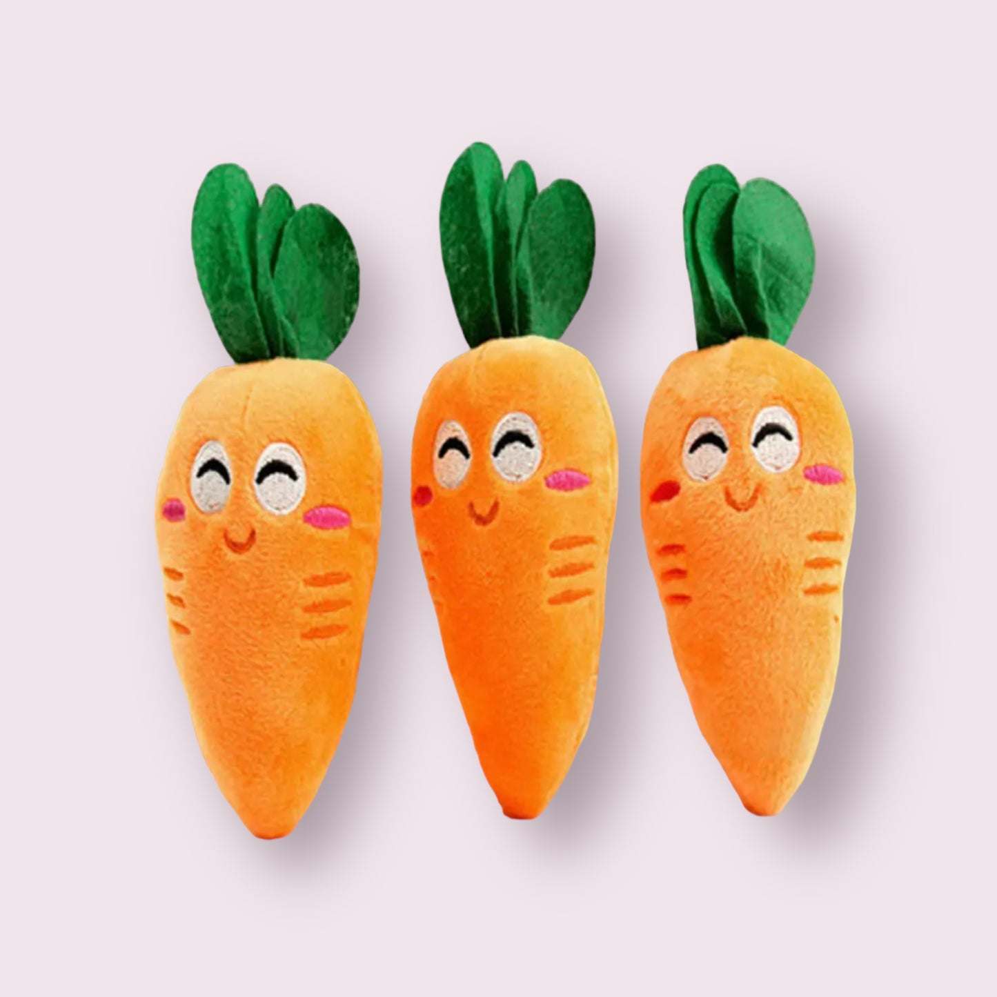 Carrot Pet Toy