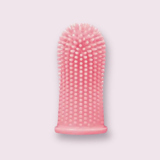 Soft Tootbrush