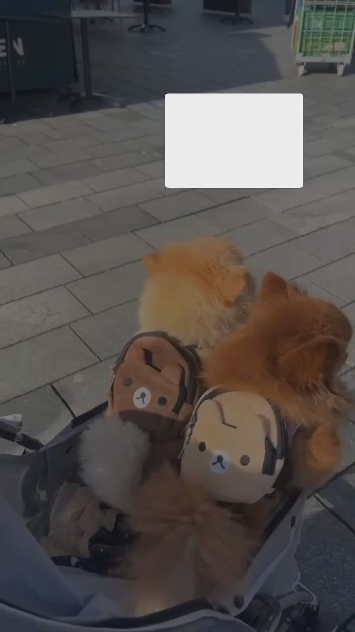 Load video: Pet Backpack